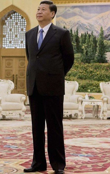 习近平背手站立照片曝光 网友惊呼“毛泽东再现”(组图)