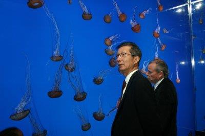 陈国治等嘉宾参观水族馆。(图：陈国治办公室提供)</p></p> <p><p>