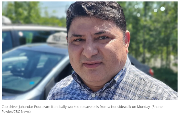 CL1466サ△「梵唄集 全」 上中下 全3巻揃 柱本瑞雲 顕道書院 大正2年5版 浄土真宗/仏教/古書/戦前 [ 道具 ] - 道具 川瀬表完造 武野紹鴎好水指棚（兼中斎花押）（共箱