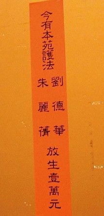天王嫂朱丽倩25载爱情风雨 从夜店达人变淑女(多图)