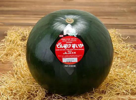 2015111013240225fa4.jpg