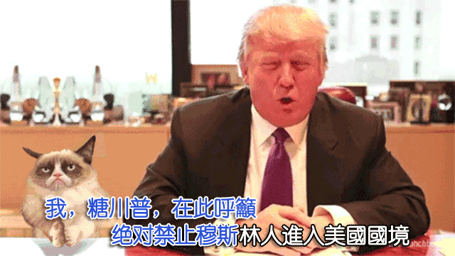 145319108635289640.GIF