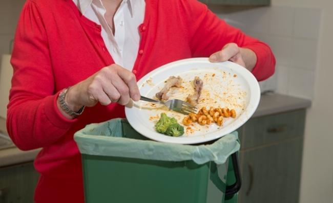 romsey_dinner_bin.jpg