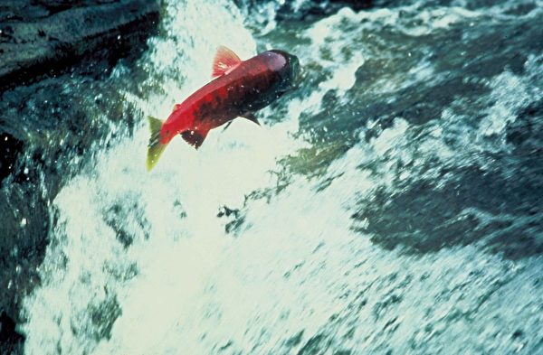 8050_1491467135_6281433.jpg