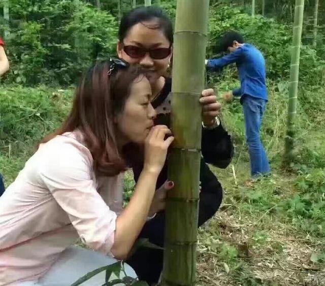 竹子酒里面的酒是怎么灌进竹子里的?卖酒的家伙坏得很