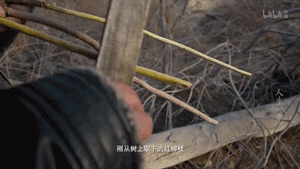 才发现吃了十多年的烤串都白吃了！走，带你见识真正的新疆烤串