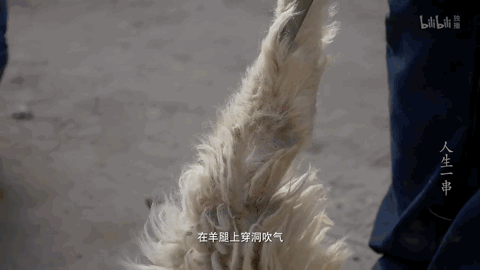 才发现吃了十多年的烤串都白吃了！走，带你见识真正的新疆烤串
