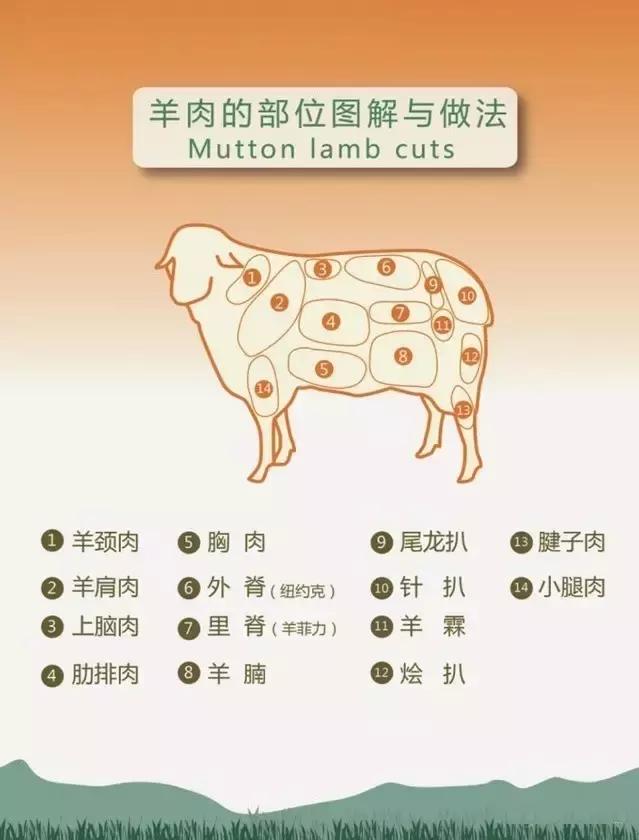 羊肉各部位图解与做法，值得收藏