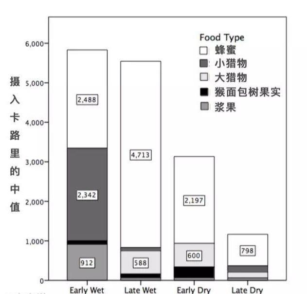 蜂蜜当做主食吃，哈扎人饮食习惯你了解多少