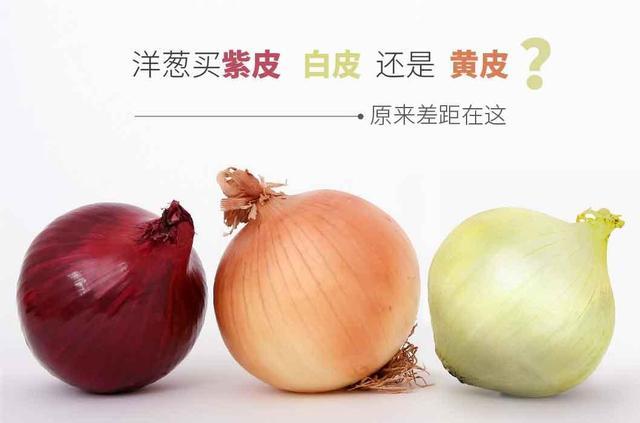 洋葱到底买紫皮还是白皮 原来差距在这里 别再买错了