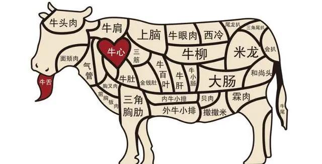 牛肉各部分分解图及做法，（家庭买牛肉小知识）