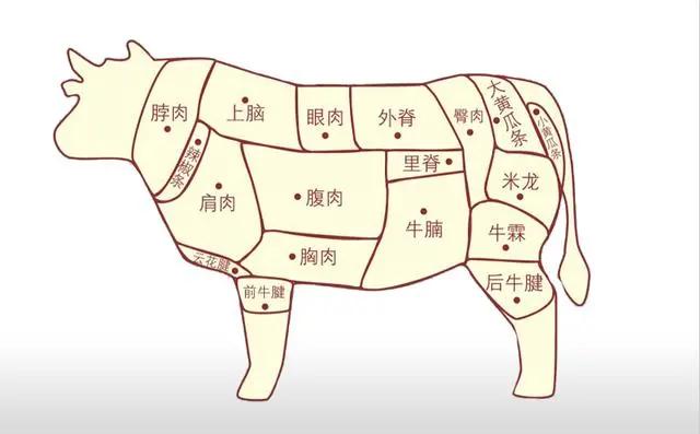 牛肉各部分分解图及做法，（家庭买牛肉小知识）