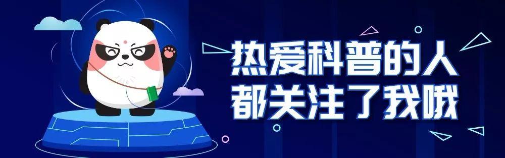 为何母螳螂要吃公螳螂？其实不是为了下一代