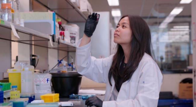 立大功！美加科学家发现全新抗生素，专门消灭超级“致命耐药菌”