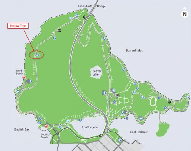 闻名世界斯坦利公园不只海景 还有这些隐藏景点