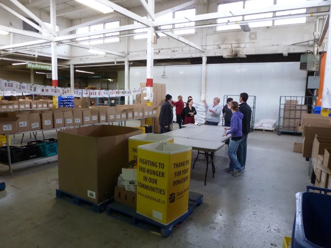 历史重现？疫情致牛奶过剩，加拿大白花花牛奶倒进下水道！