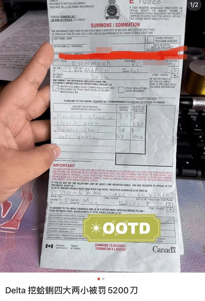 狠罚.8万！这事千万别干 大温也有人被罚