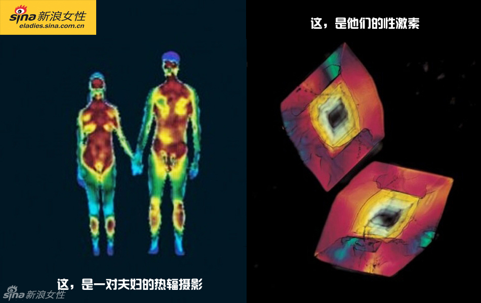 难得一见：从接吻到生子 震撼高清图解造人的全过程