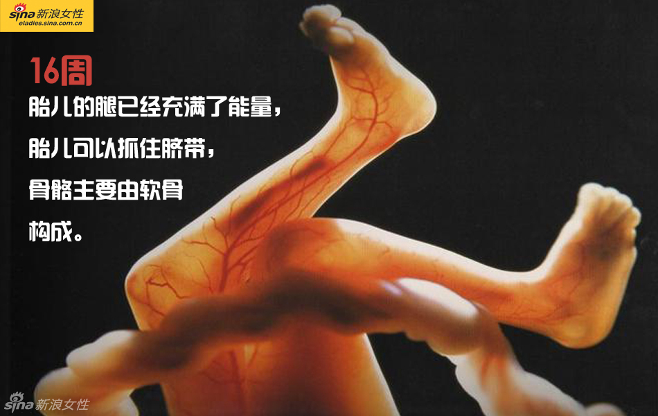 难得一见：从接吻到生子 震撼高清图解造人的全过程