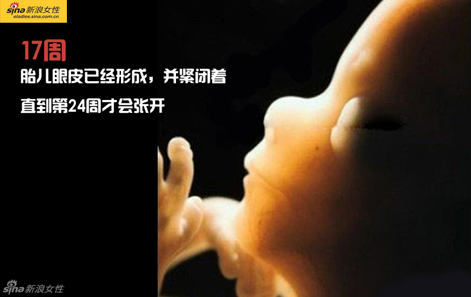 难得一见：从接吻到生子 震撼高清图解造人的全过程