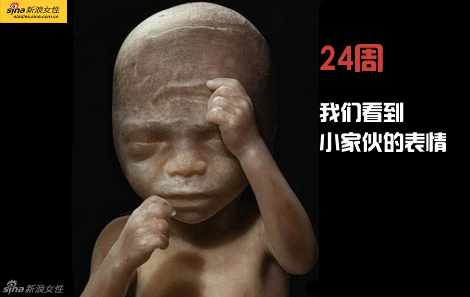 难得一见：从接吻到生子 震撼高清图解造人的全过程
