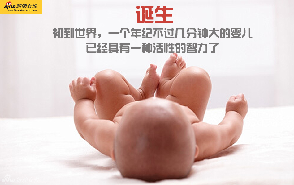 难得一见：从接吻到生子 震撼高清图解造人的全过程